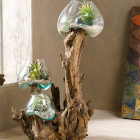 Three Glass Terrarium on Gamal Wood Base - Big Size - 50-60CM